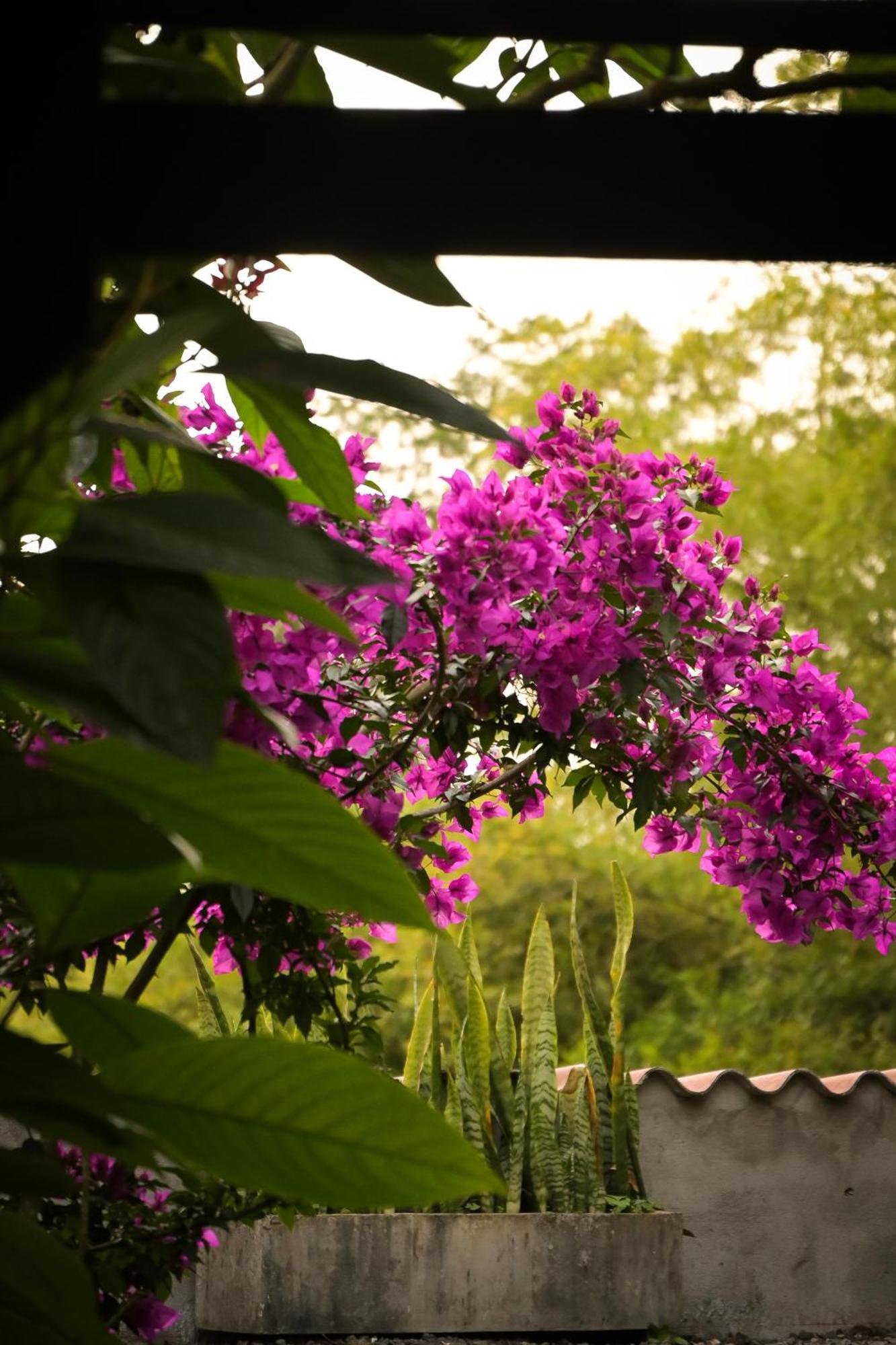 Hotel Visperas 酒店 Santa Rosa de Cabal